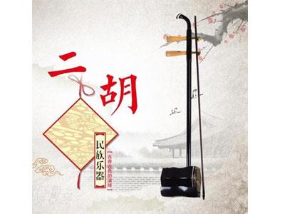 招聘沧州二胡家教老师